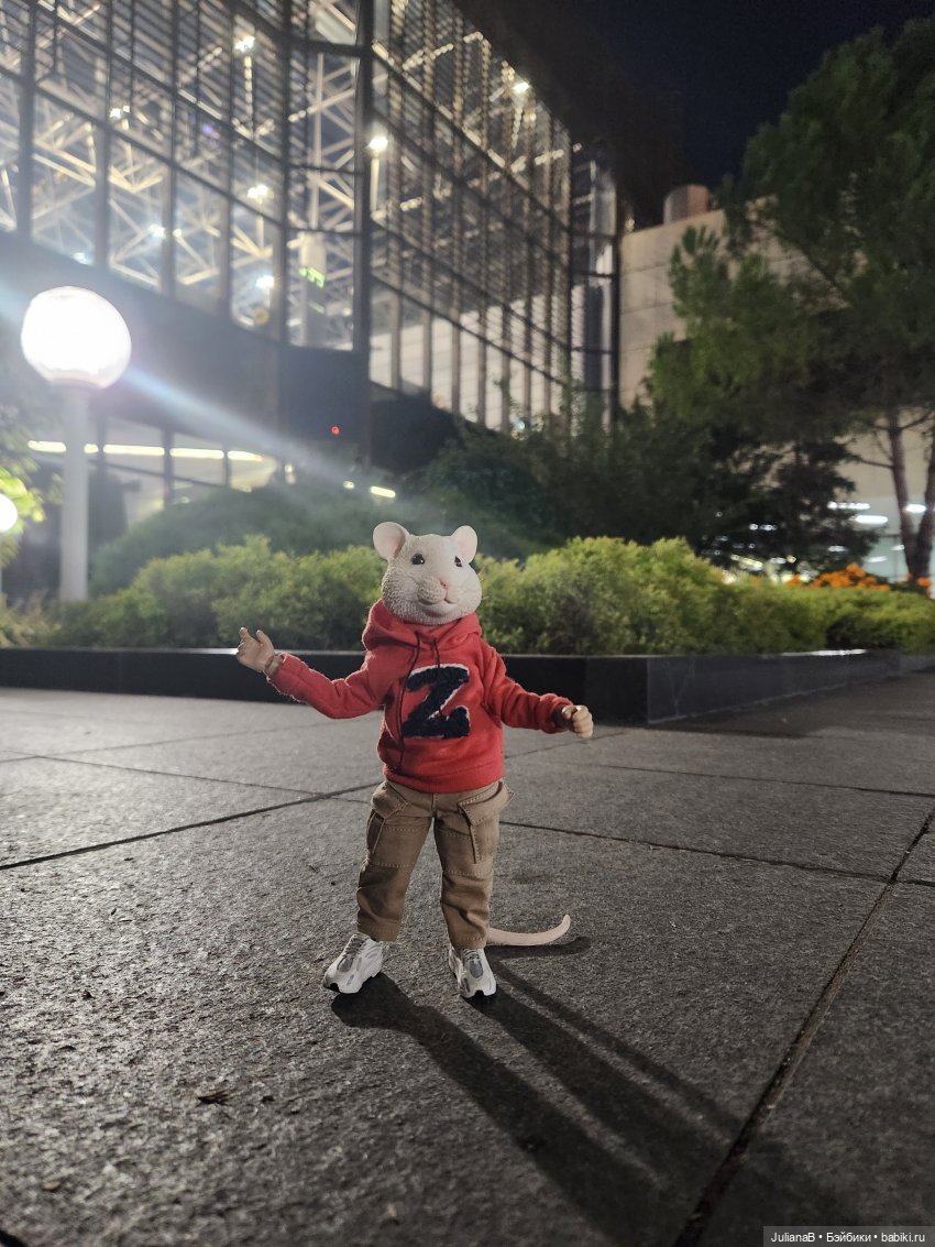 Мышь лабораторная. Сочи, Сириус, прогулка
