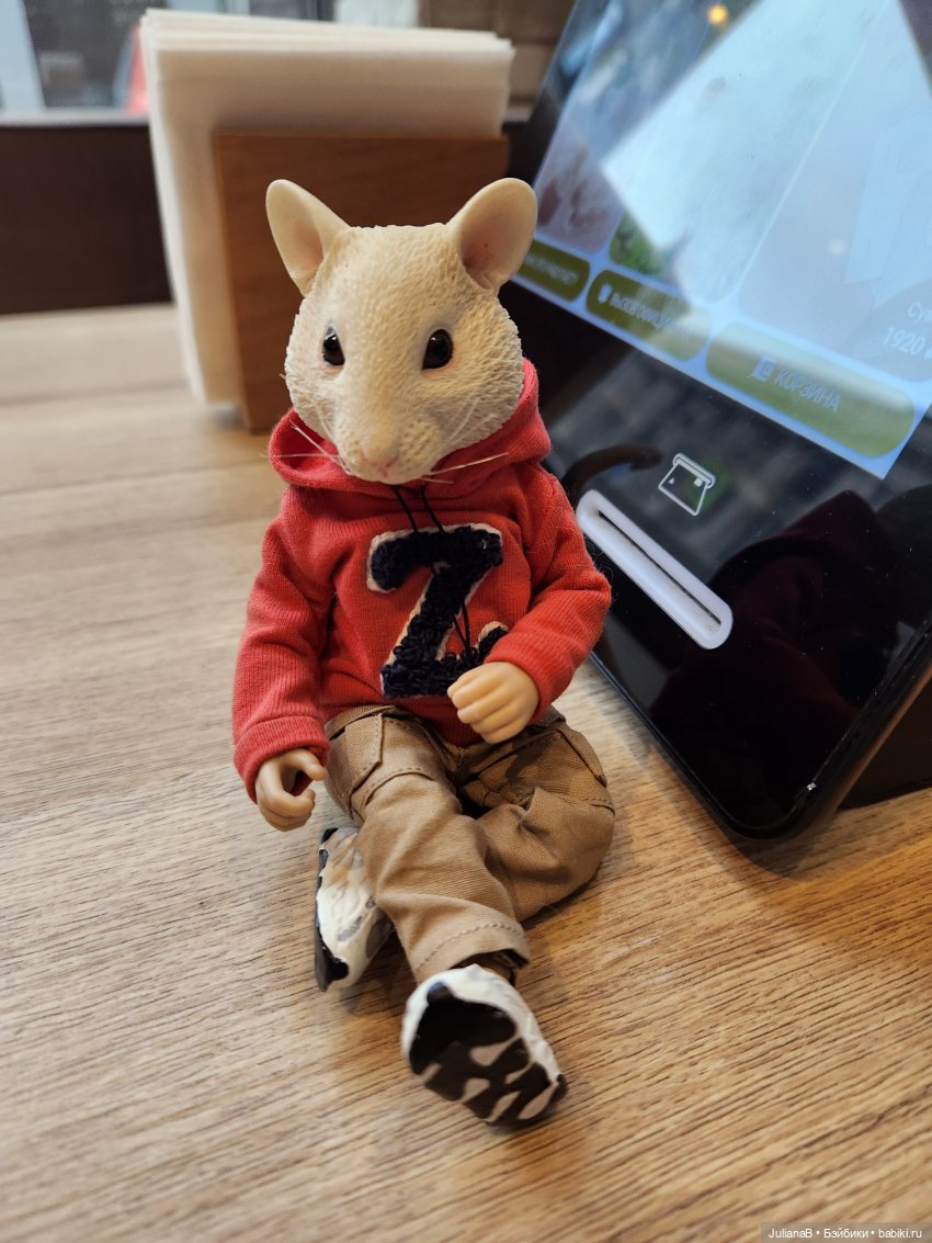 Прогулка по Москве — Разные шарнирные куклы (не БЖД): редкие (фото 7)