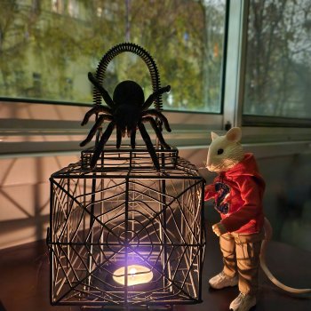 Совсем нестрашная сказка