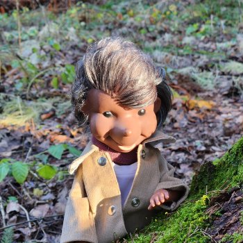 Спокойной тебе зимы, лес