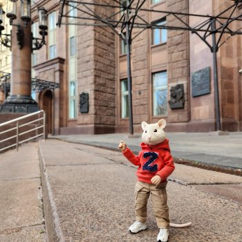 Сталинка в Котельниках