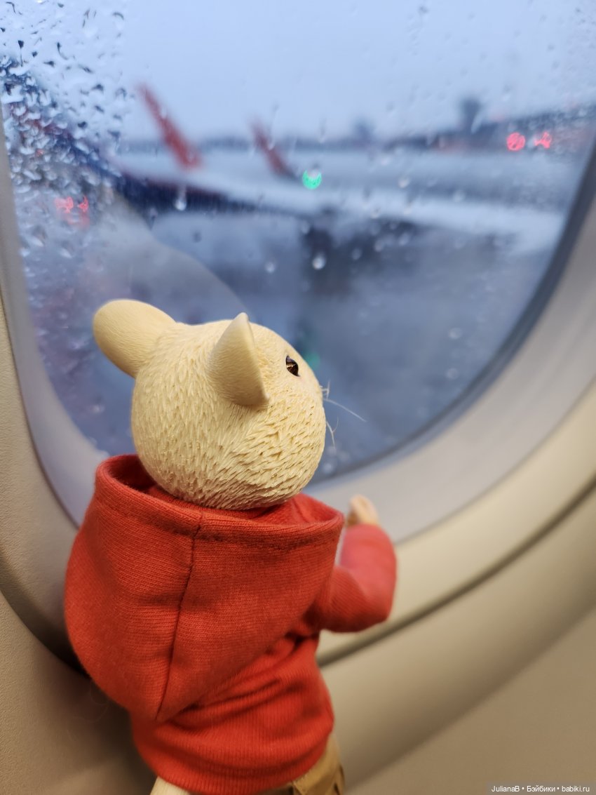 Мышь лабораторная. Осень — Разные шарнирные куклы (не БЖД): редкие (фото 5)