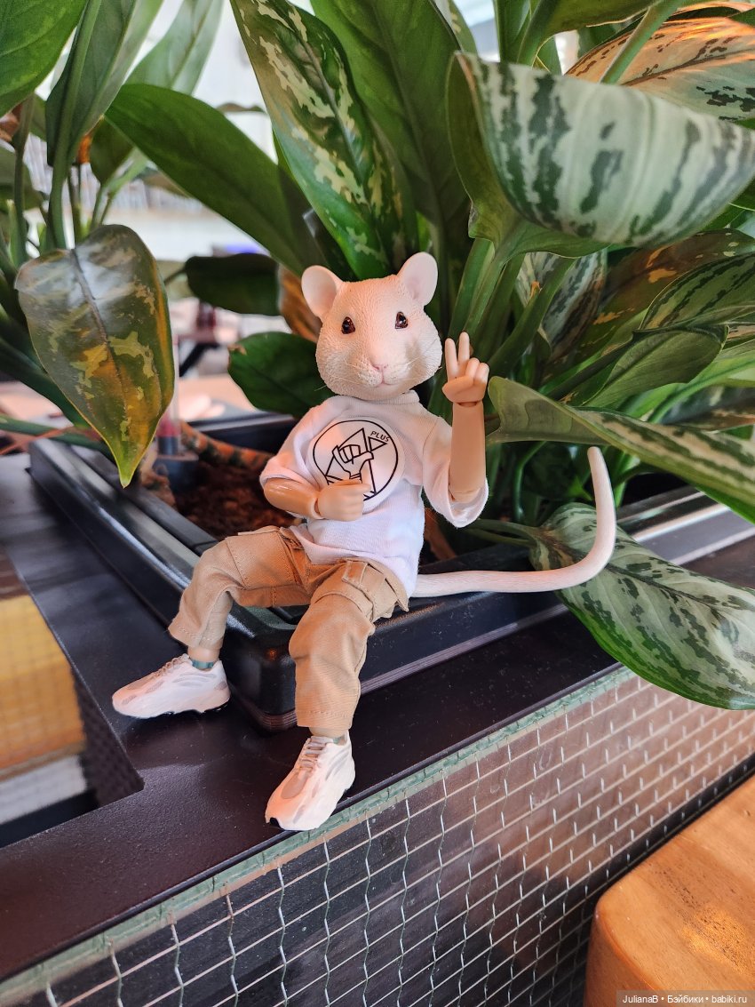 Мышь лабораторная. Осень — Разные шарнирные куклы (не БЖД): редкие (фото 9)