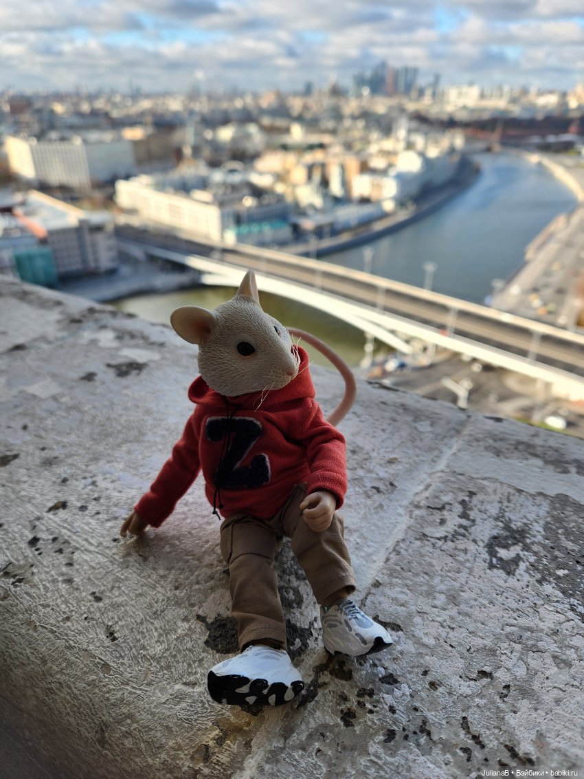 Мышь лабораторная. Осень — Разные шарнирные куклы (не БЖД): редкие