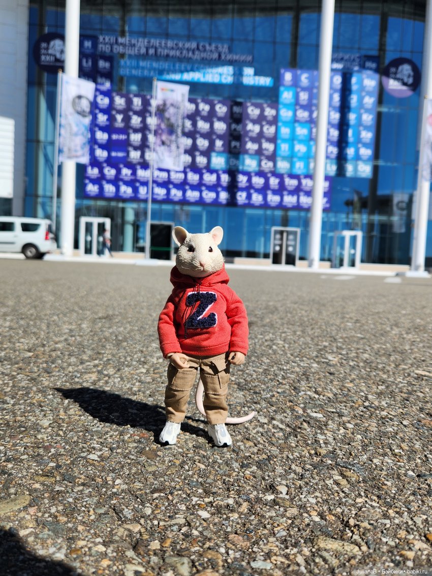 Мышь лабораторная. Осень — Разные шарнирные куклы (не БЖД): редкие (фото 8)