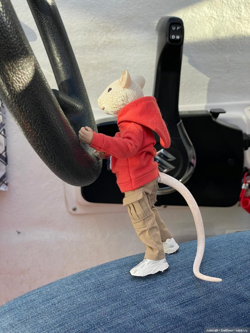 Мышь лабораторная. Осень — Разные шарнирные куклы (не БЖД): редкие (фото 7)