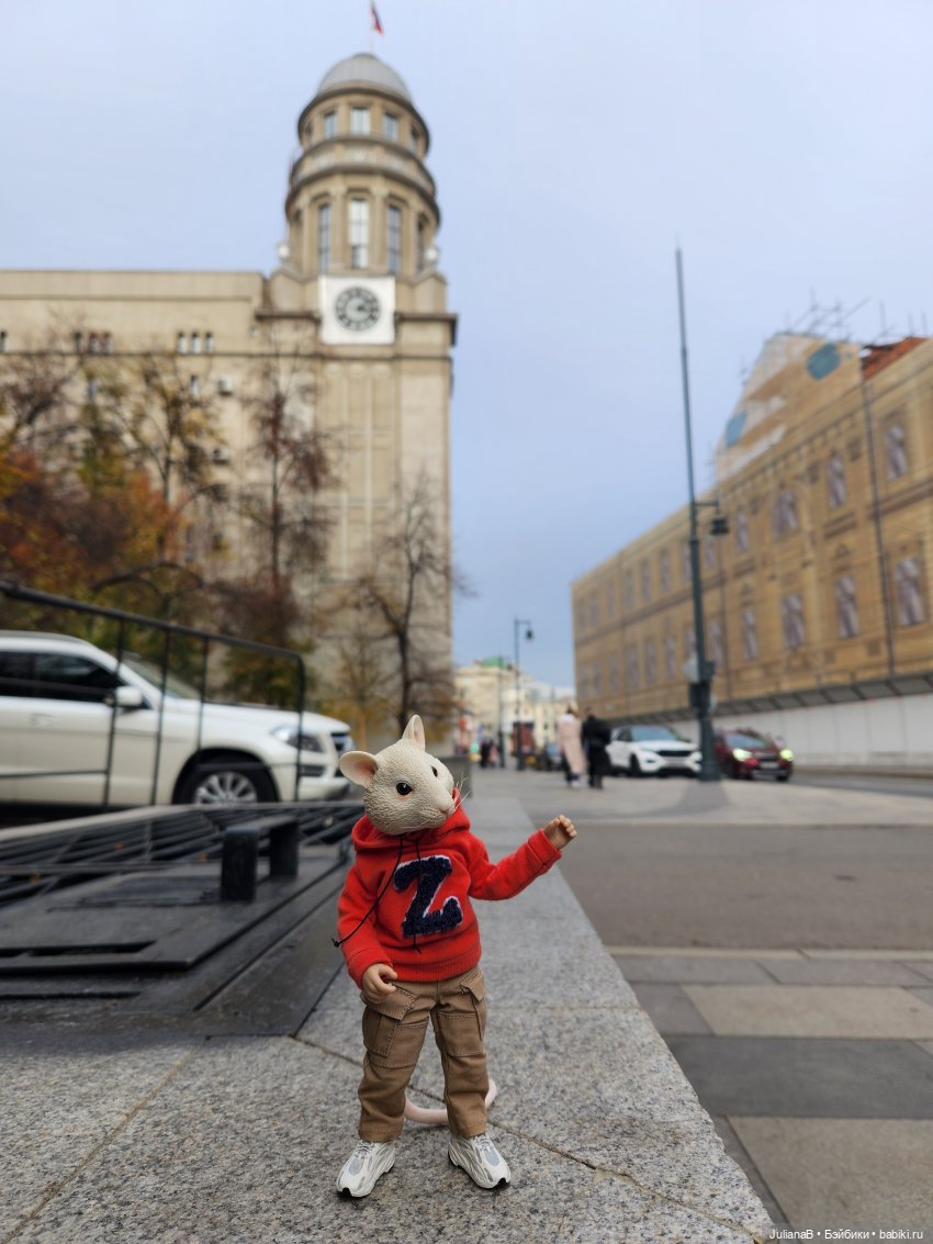 Мышь лабораторная. Осень — Разные шарнирные куклы (не БЖД): редкие