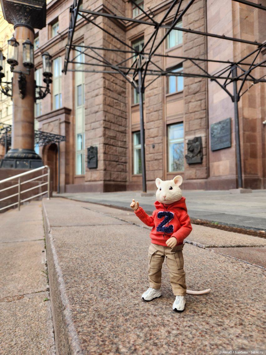 Мышь лабораторная. Осень — Разные шарнирные куклы (не БЖД): редкие