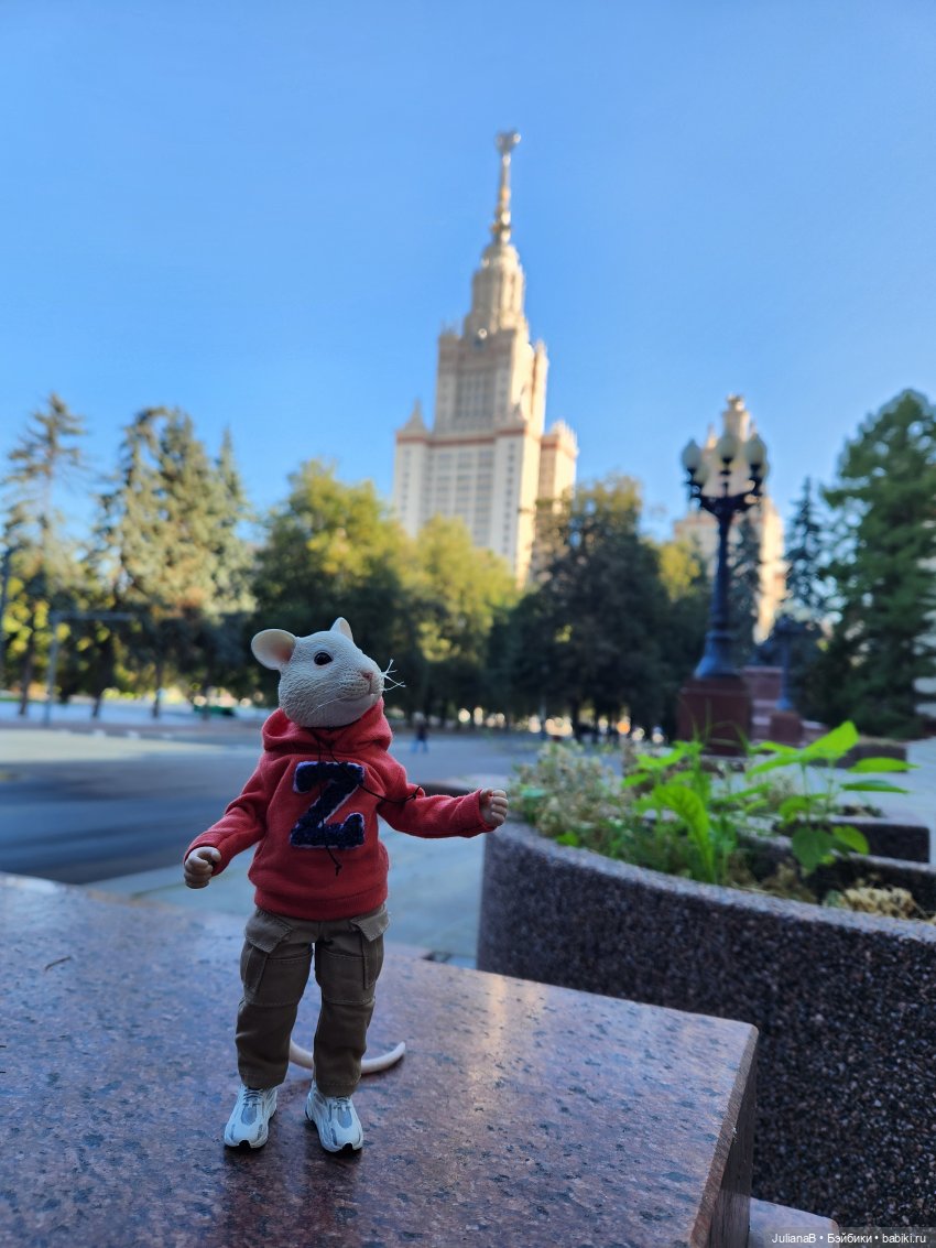 Мышь лабораторная. Осень — Разные шарнирные куклы (не БЖД): редкие