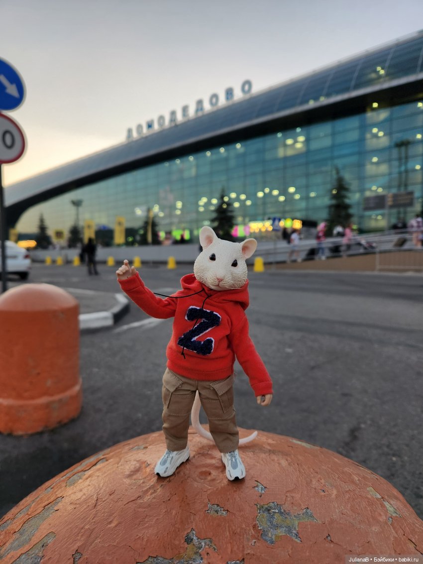 Мышь лабораторная. Осень — Разные шарнирные куклы (не БЖД): редкие (фото 4)