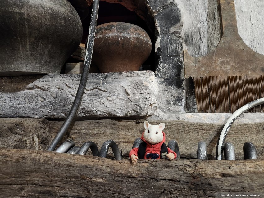 Мышь лабораторная. Казань