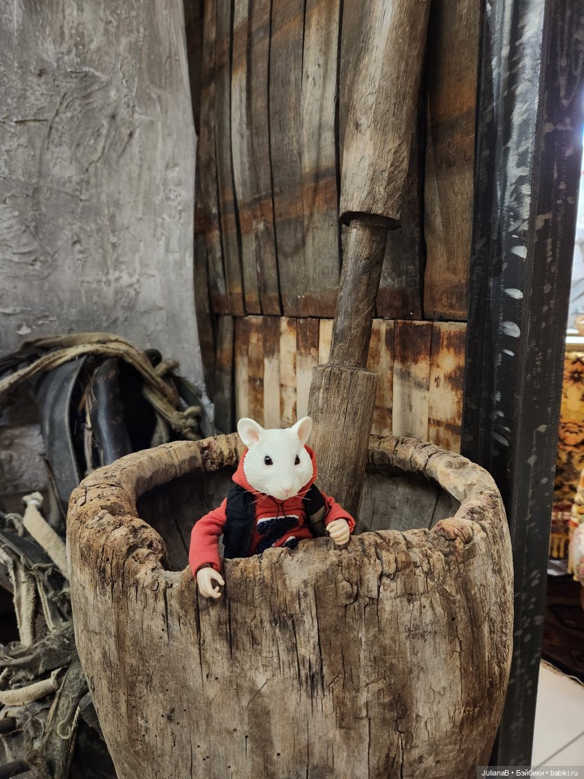 Мышь лабораторная. Казань