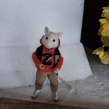 Мышь лабораторная. Казань