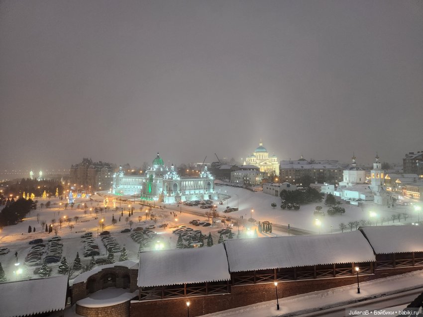 Мышь лабораторная. Казань