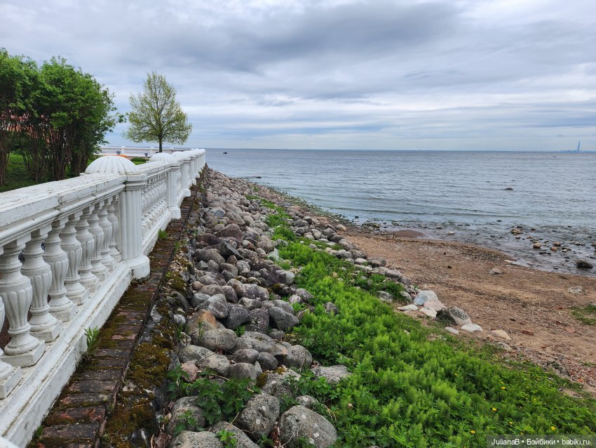 Мышь лабораторная. СПб. Невский конгресс