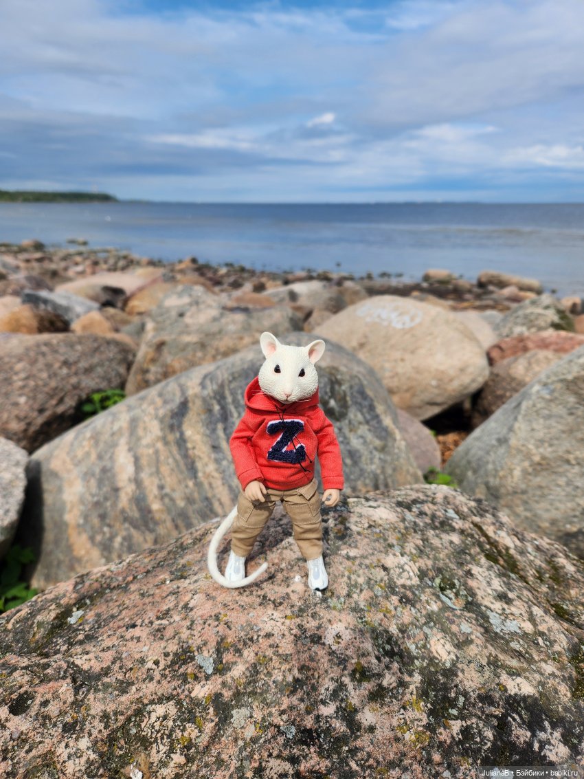 Мышь лабораторная. СПб. Невский конгресс (фото 8)