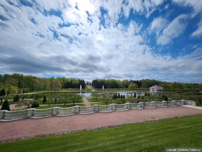 Мышь лабораторная. СПб. Невский конгресс