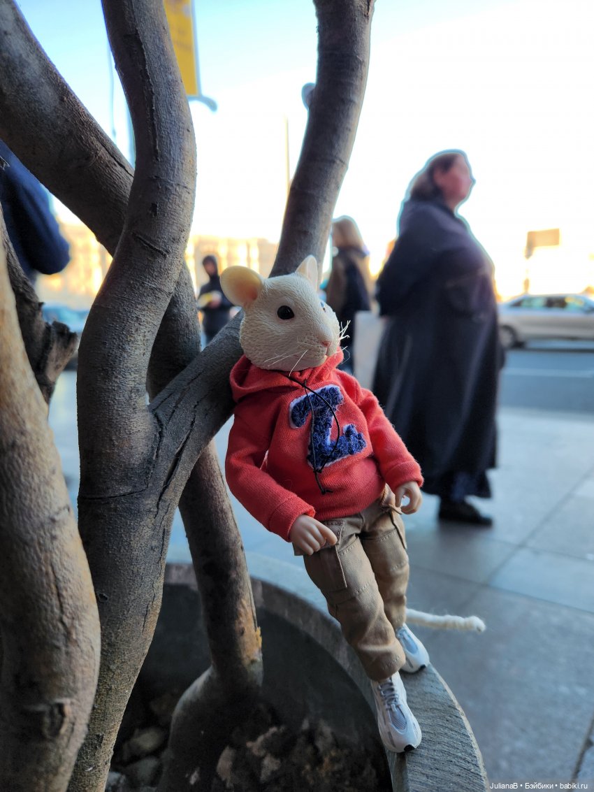 Мышь лабораторная. СПб. Невский конгресс (фото 5)