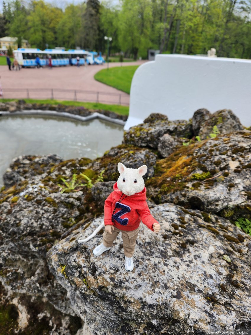 Мышь лабораторная. СПб. Невский конгресс