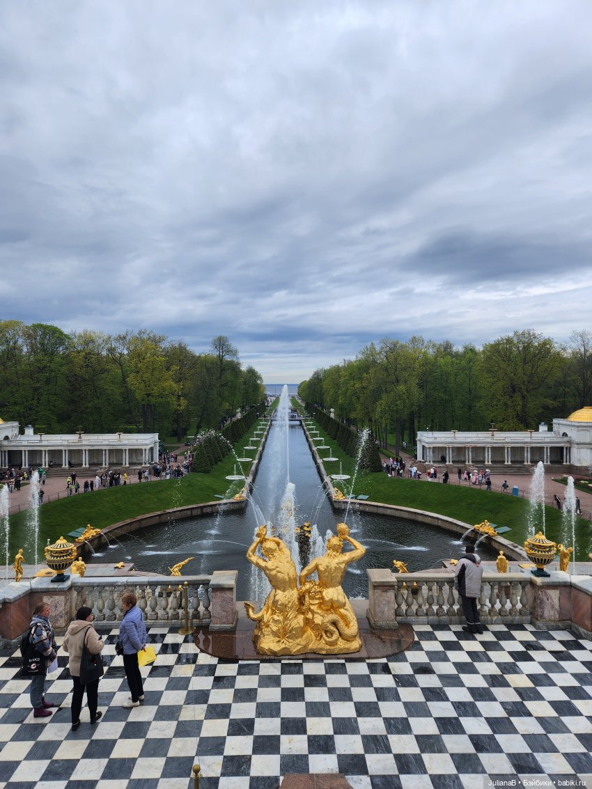 Мышь лабораторная. СПб. Невский конгресс