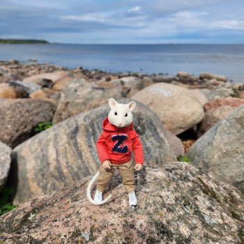 Мышь лабораторная. СПб. Невский конгресс