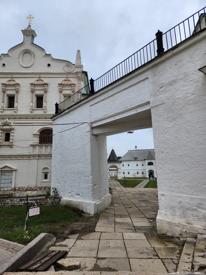 Мышь лабораторная. Рязань (фото 5)