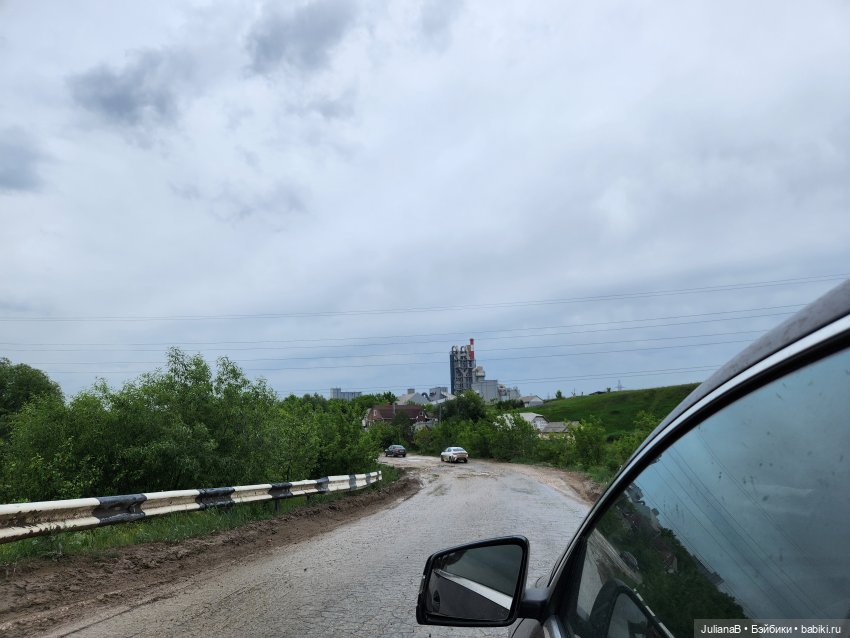 Мышь лабораторная. Рязань