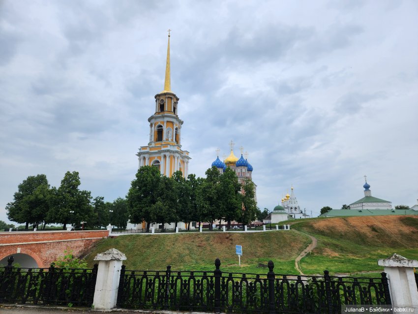 Мышь лабораторная. Рязань (фото 9)