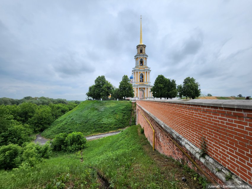 Мышь лабораторная. Рязань (фото 7)