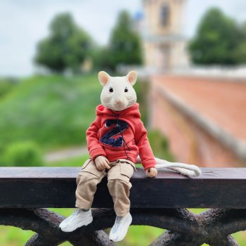 Мышь лабораторная. Рязань