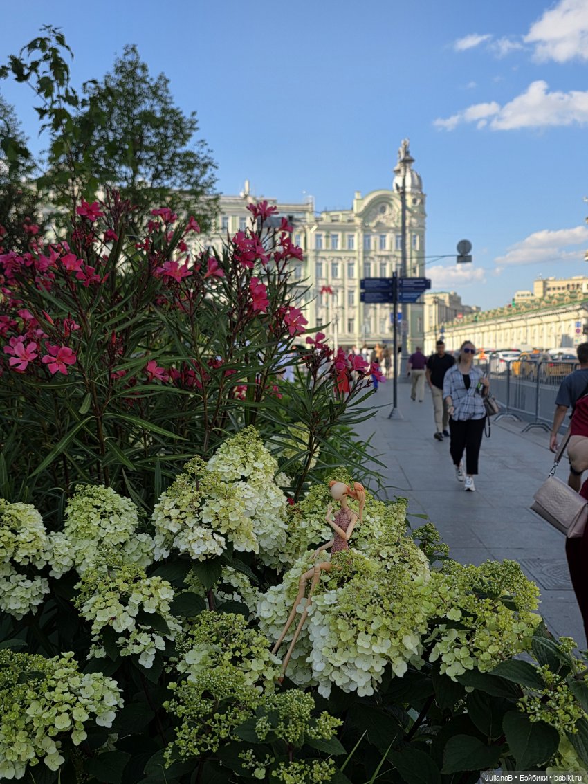 Городской ноктюрн | Бэйбики Городской ноктюрн — Разные куклы BJD (БЖД): редкие бренды (фото 5)