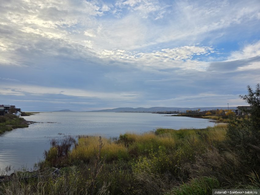 Мышь лабораторная. Братск