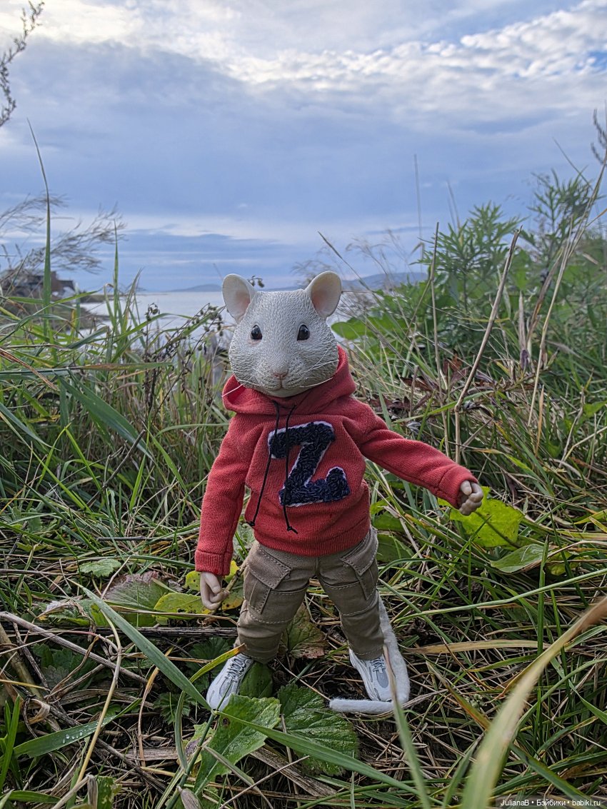 Мышь лабораторная. Братск