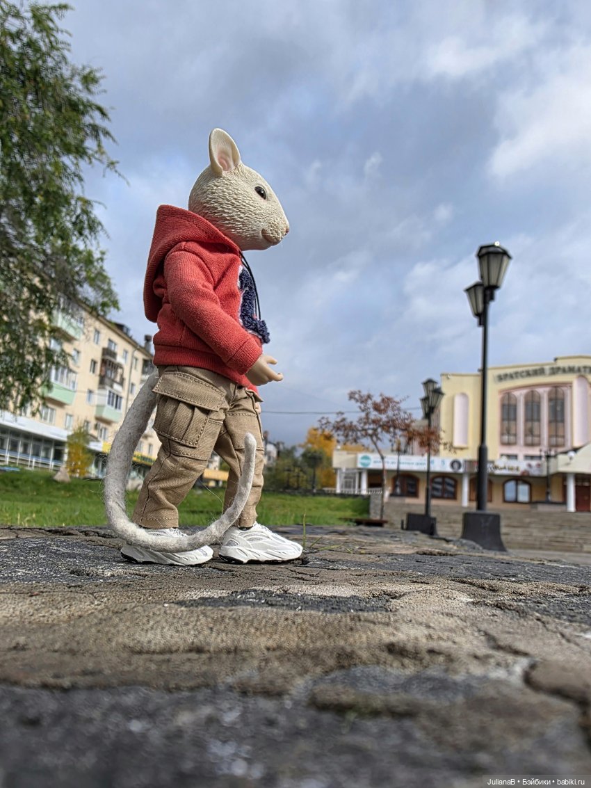 Мышь лабораторная. Братск