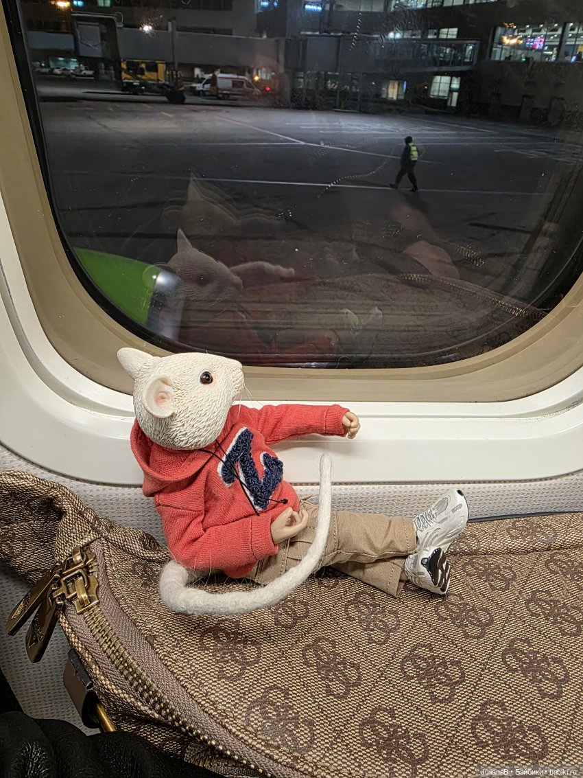 Мышь лабораторная. Братск (фото 6)