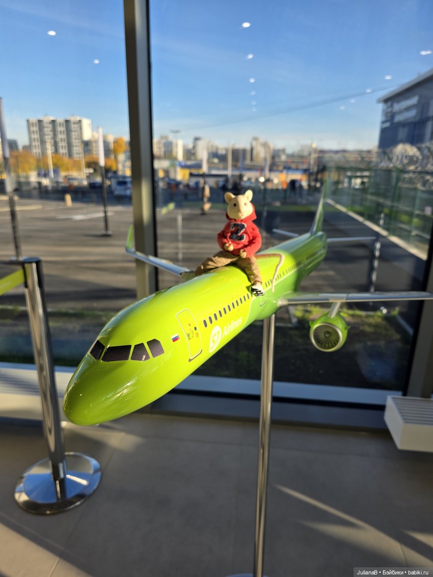 Мышь лабораторная. Братск (фото 10)