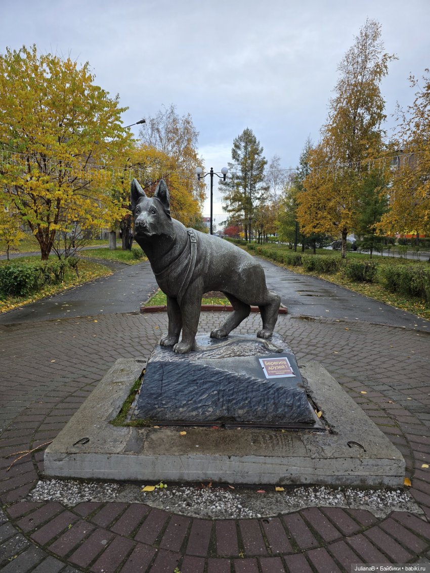 Мышь лабораторная. Братск