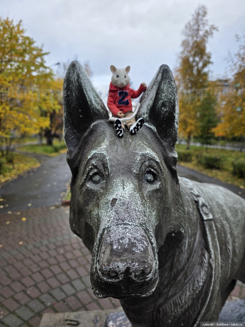 Мышь лабораторная. Братск