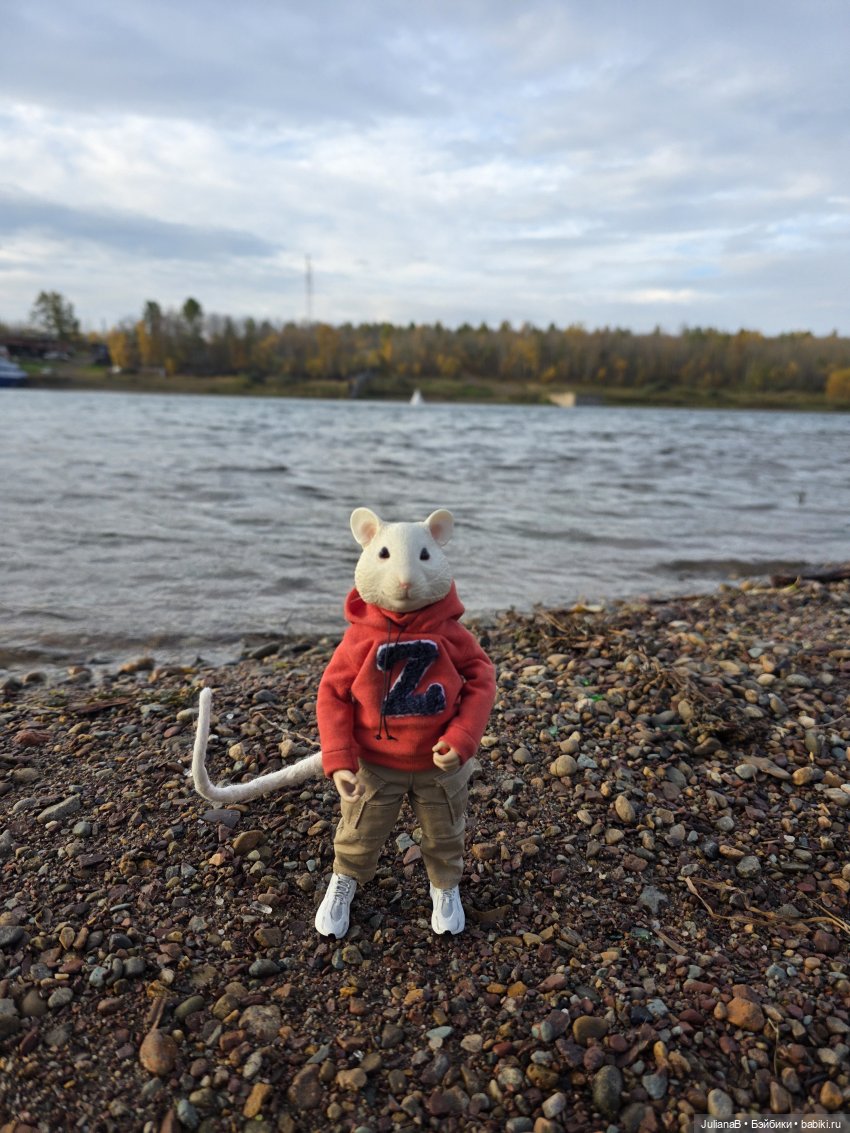 Мышь лабораторная. Братск