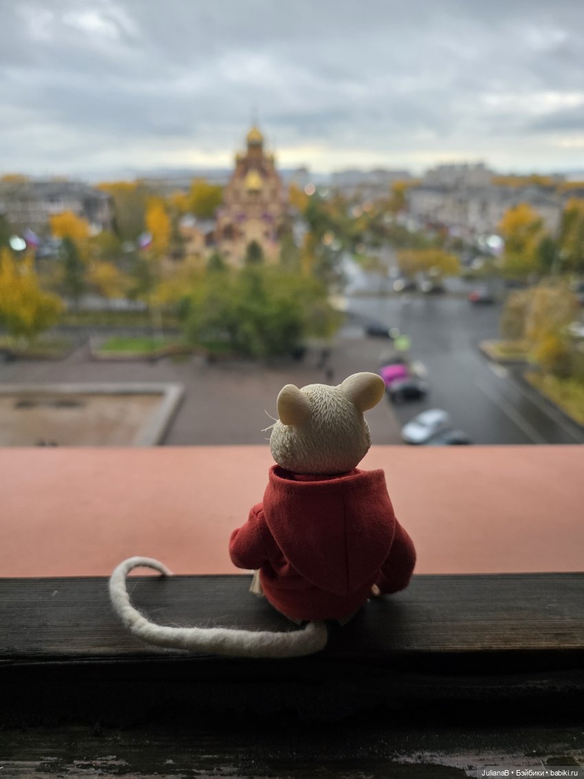 Мышь лабораторная. Братск