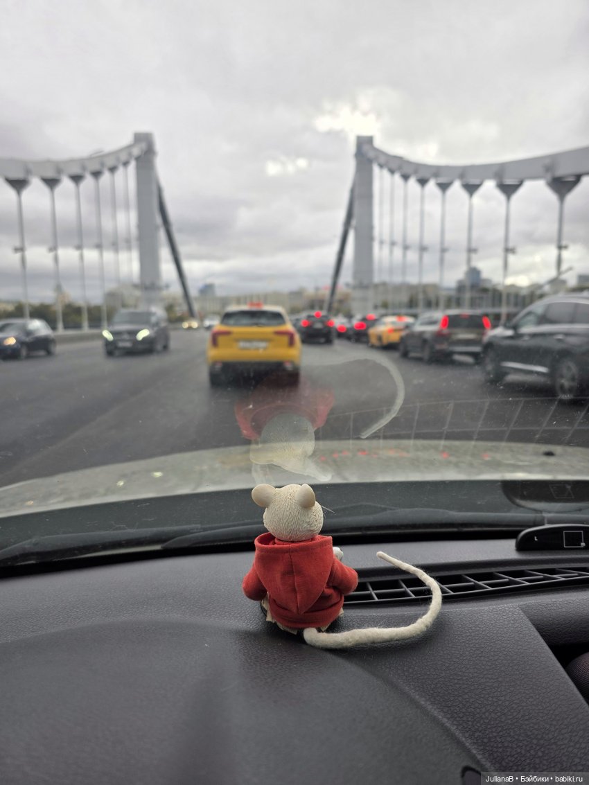 Мышь лабораторная. Братск (фото 2)