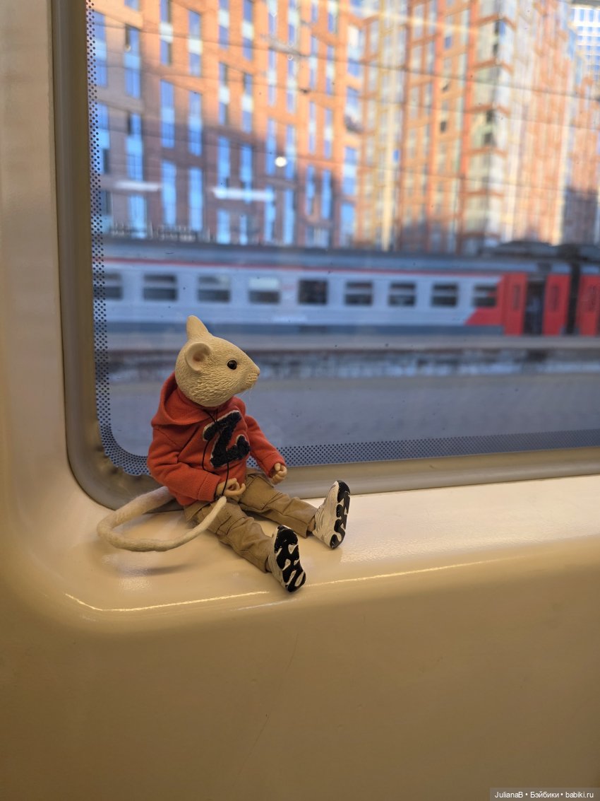 Мышь лабораторная. Братск (фото 4)