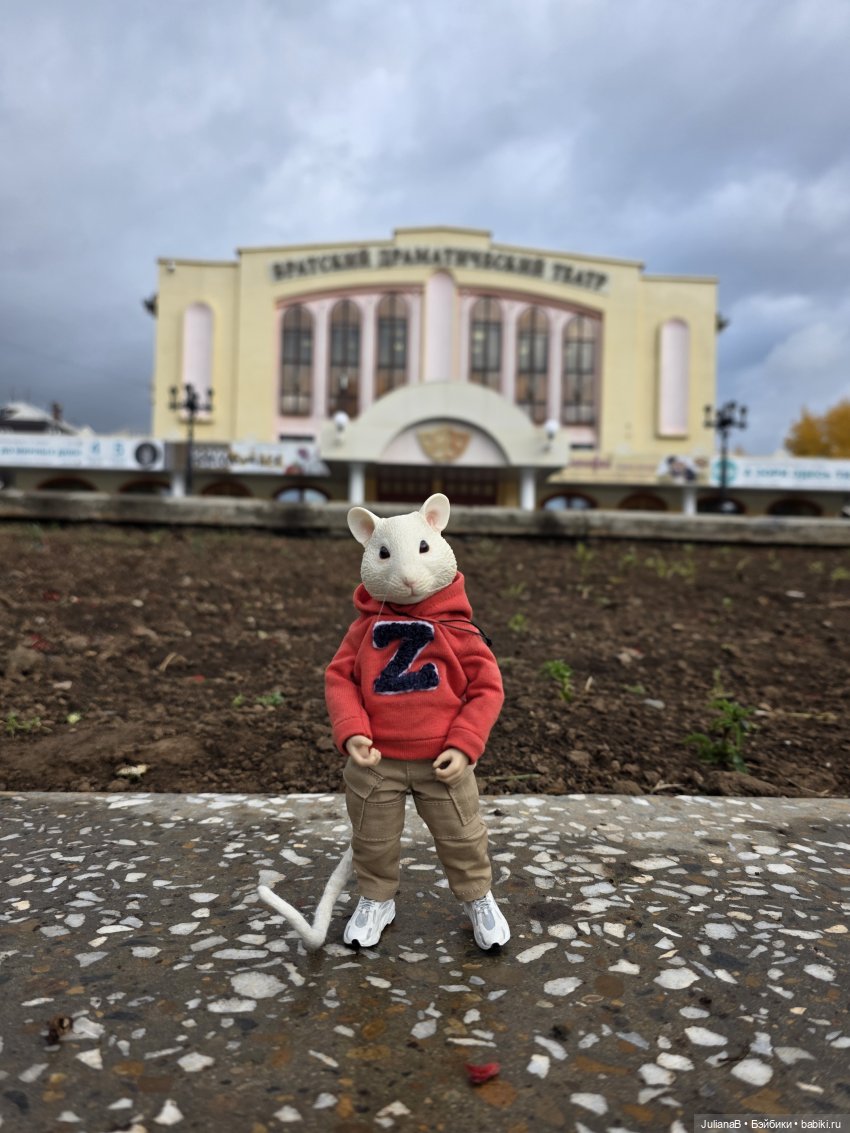 Мышь лабораторная. Братск