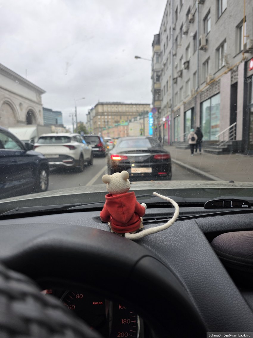 Мышь лабораторная. Братск