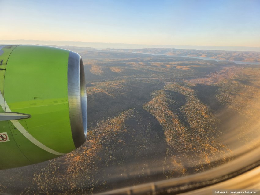 Мышь лабораторная. Братск (фото 9)