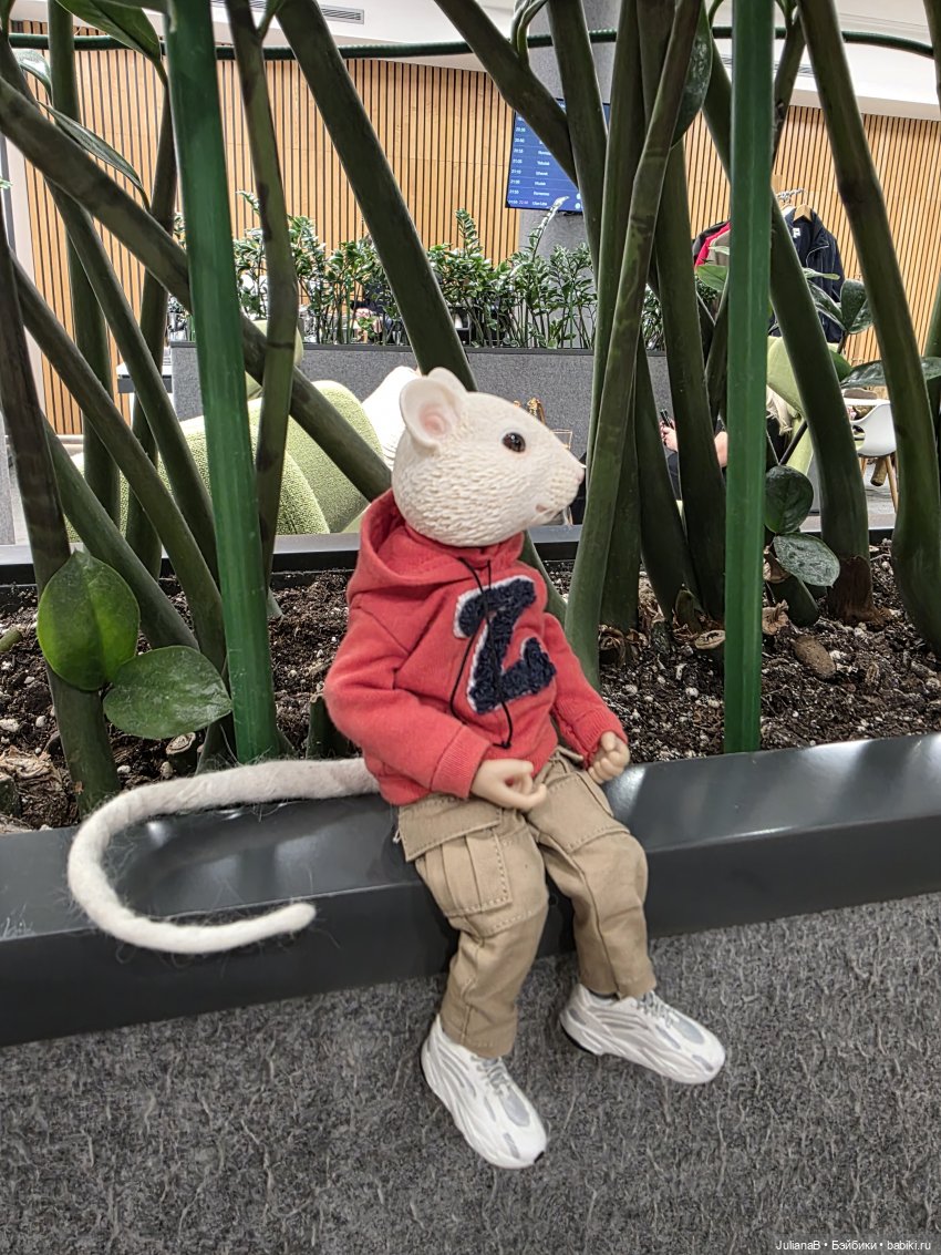 Мышь лабораторная. Братск (фото 5)