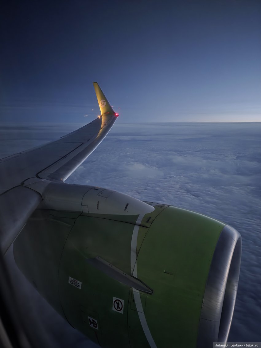 Мышь лабораторная. Братск (фото 7)