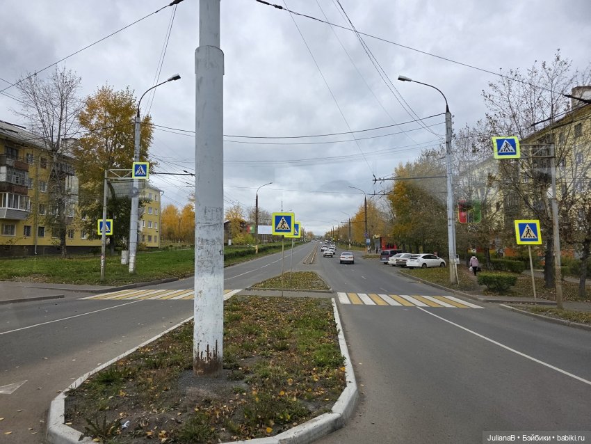 Мышь лабораторная. Братск