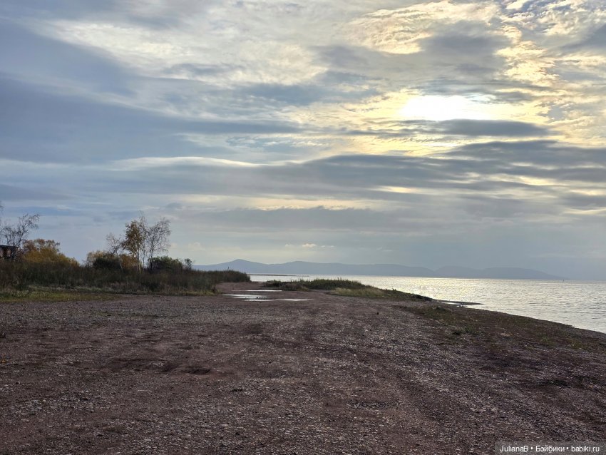 Мышь лабораторная. Братск