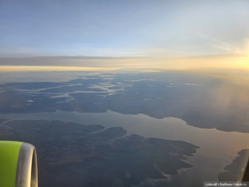 Мышь лабораторная. Братск (фото 8)